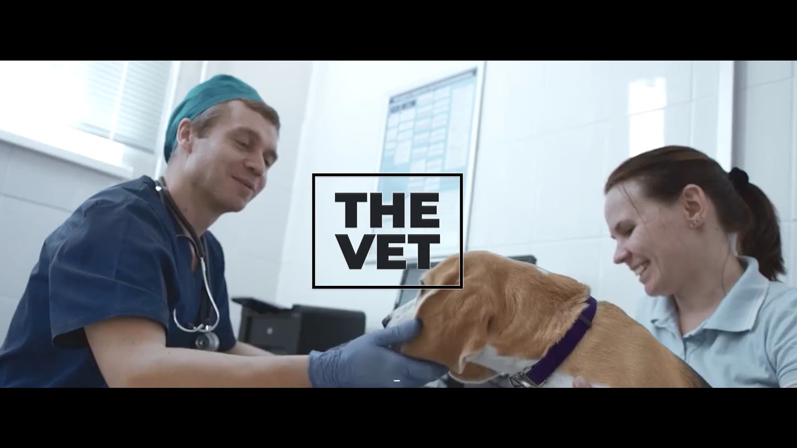 Кадр проекта «The Vet»